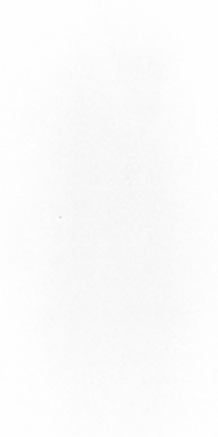 RCT Plain White &mdash; RCT Ceramic Collection 30x60cm tile